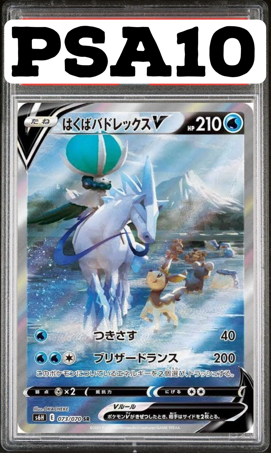 はくばバドレックス V SR(SA) 073/070 S6H PSA10