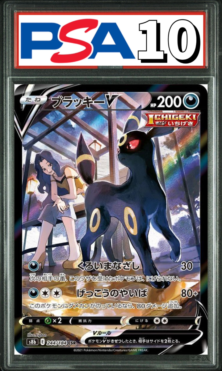 ブラッキー V CSR 244/184 PSA10