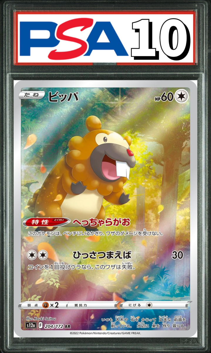 ビッパ AR 204/172 PSA10