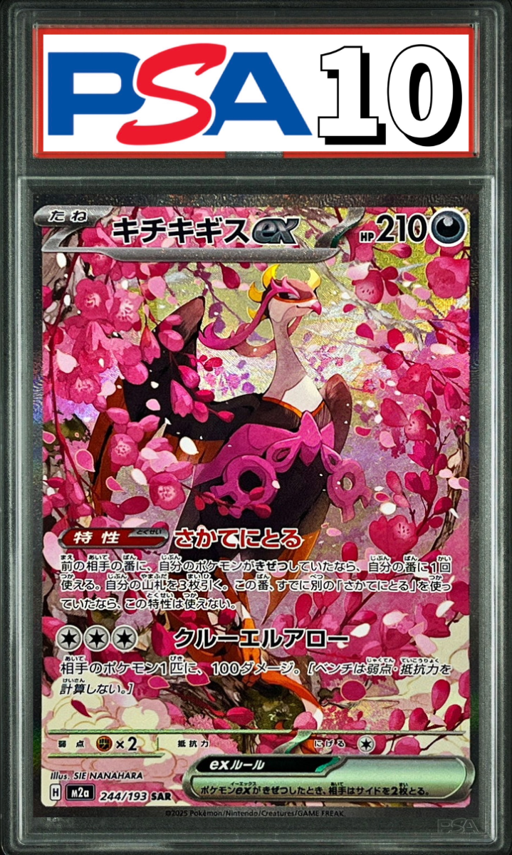 キチキギスex SAR 244/193 PSA10