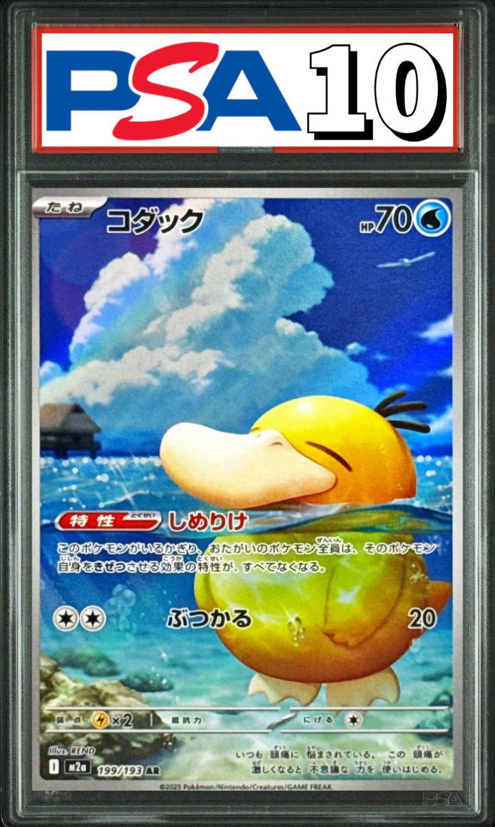 コダック AR 199/193 PSA10