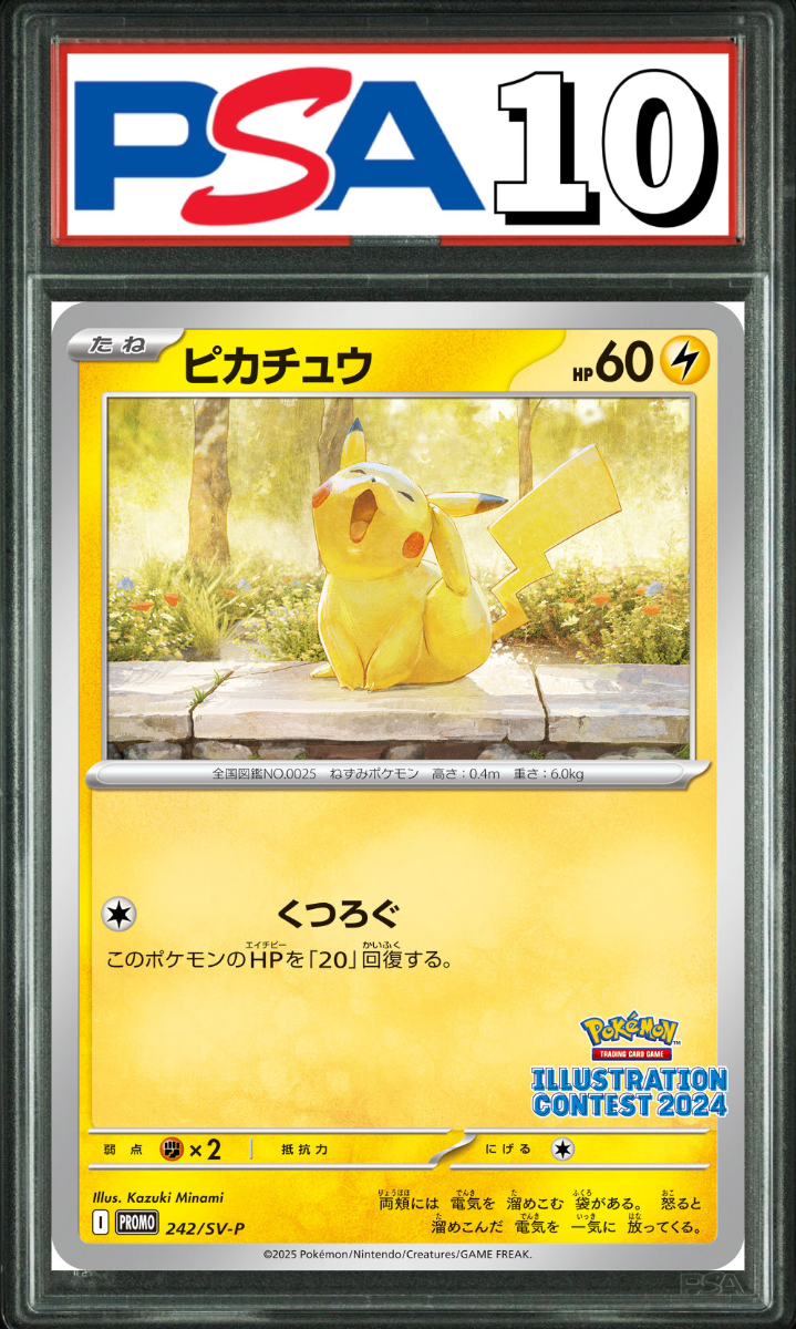 ピカチュウ プロモ 242/SV-P PSA10