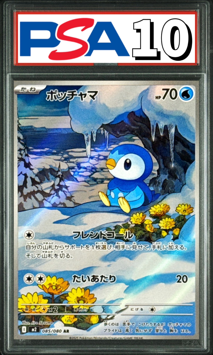 ポッチャマ AR 085/080 PSA10